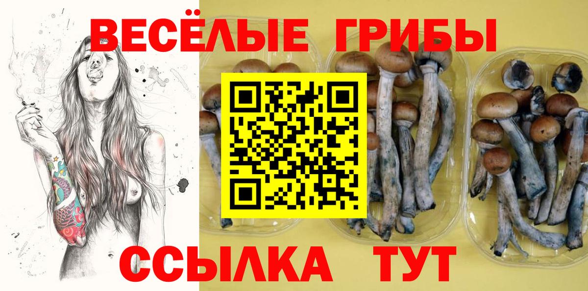 закладки  Галлюциногенные грибы Psilocybe  Ярцево  Вход с VPN  Псилоцибиновые грибы MAGIC MUSHROOMS 