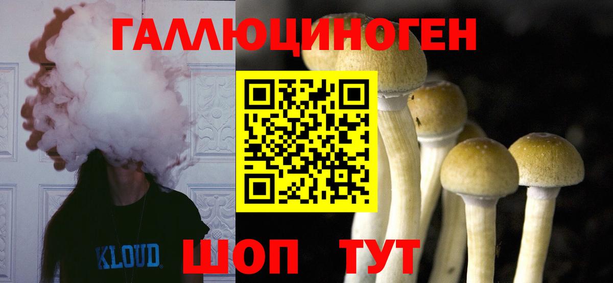 Псилоцибиновые грибы MAGIC MUSHROOMS Ярцево
